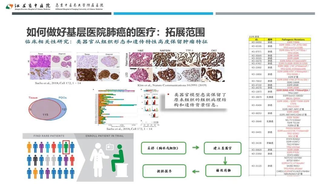 蔡婧|共谋江苏省基层医院肺癌未来发展之路