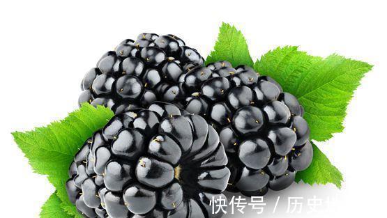 好处|每天坚持一杯桑葚酒的好处,一看便知,别傻傻分不清