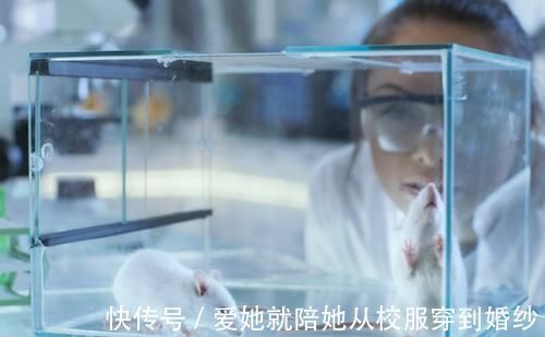 血管健康|“吃得少,活得久”?吃得少的人更容易长寿吗?答案令人意外