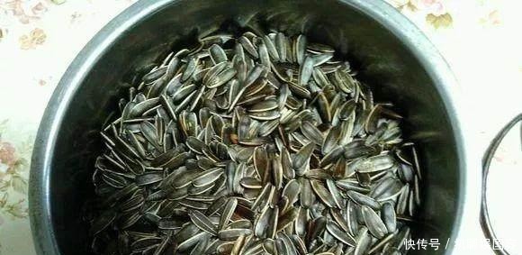 生长|君子兰盆里丢点这个,叶子油绿发亮,一年花开2次!