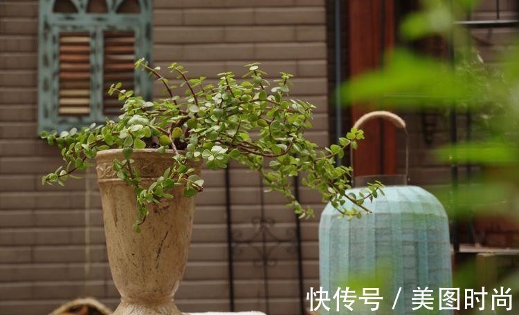 小院|荒废多年的80㎡小院，2年半时间打造成下沉式花园，太漂亮了！