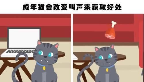 自动扶梯|你不大可能在教科书里见到的10个有趣的冷知识