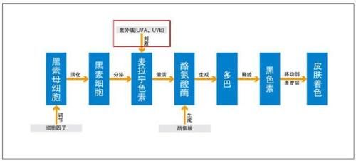 怎么让皮肤变白，美白精华怎么选