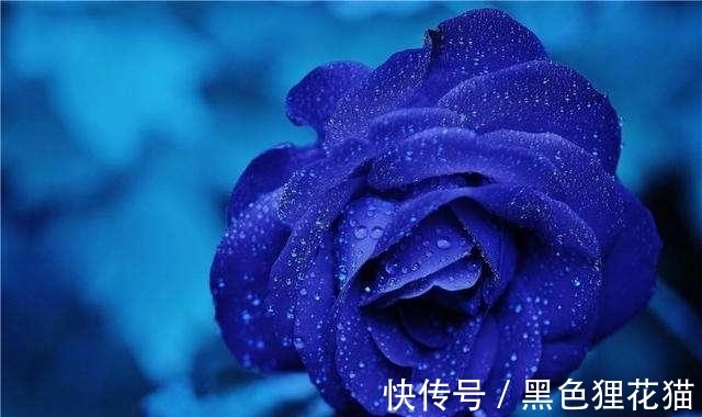 旧情|在1月份，桃花绽放，旧情苏醒，注定和旧爱牵扯不断的四大星座