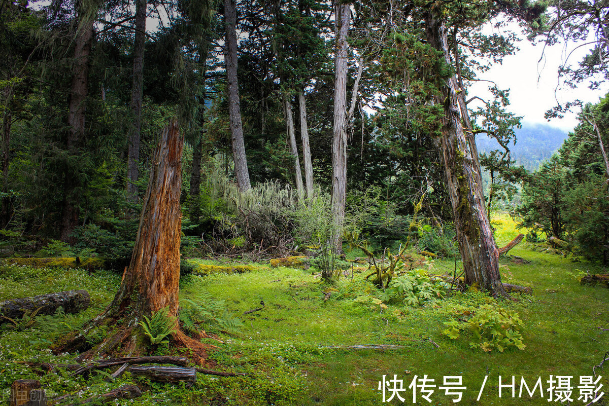 老君山|推荐7个只许中国人进，不对外国人开发的景区，看看你去过几个？