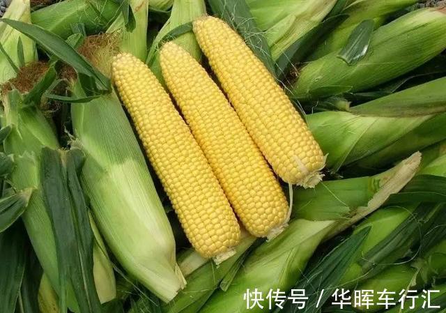 胃部|胃病的“发物”是玉米?医生:夏季想养胃,这几类食物,尽量少碰