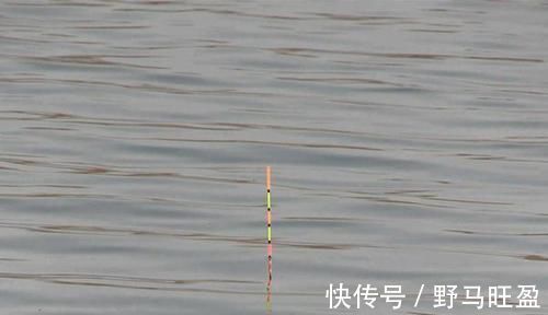 浮漂|钓鱼技巧：详解带饵调漂，公认最科学的调漂方法，没有之一！