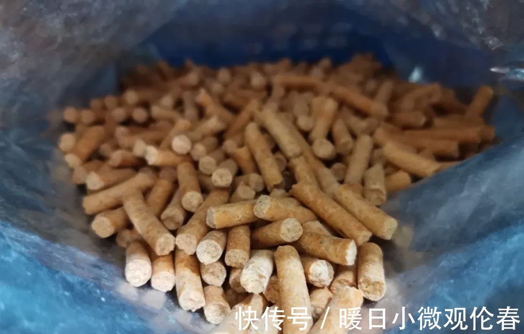 野钓|颗粒饵的几种用法,不仅仅是为了省钱,钓鱼效果也不一般