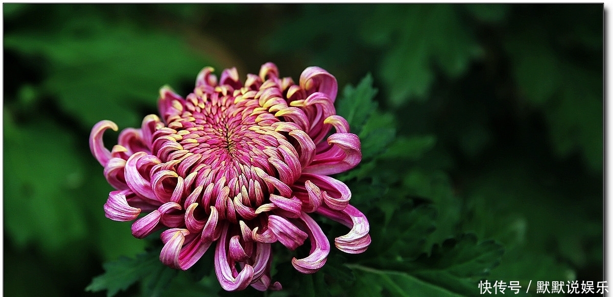 孩子|妈妈最大的智慧,就是让孩子们和聪明人聊天