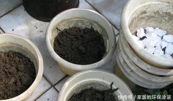 虫子|养花土,用一个塑料袋,轻松杀虫灭菌,花盆里一个虫子都没有