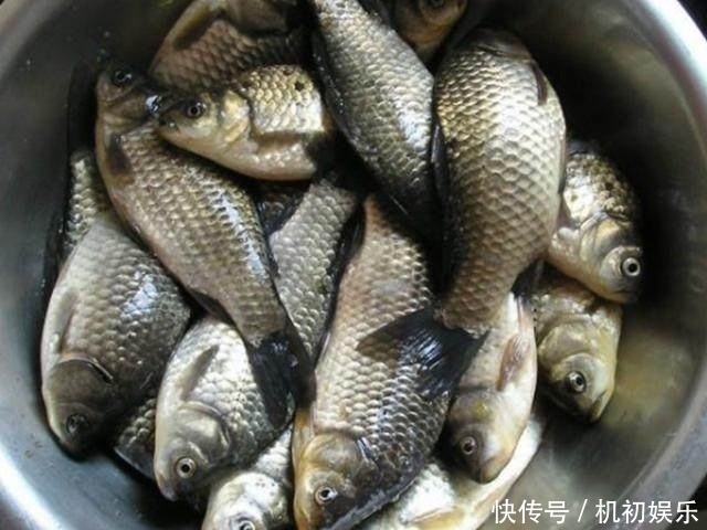 水广鱼稀没渔获教你4招让你一眼就找到鱼窝