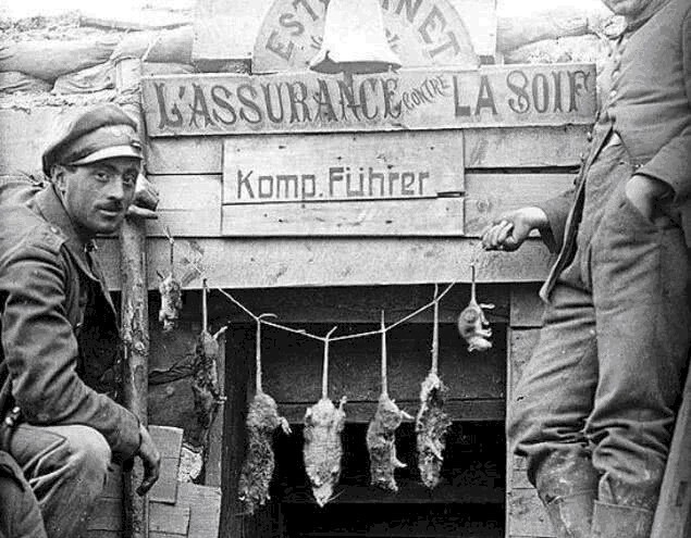 伤亡人数|为何一战被许多人评为最惨烈的战争,而不是伤亡人数更多的二战