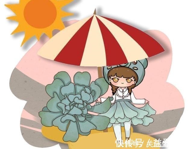 叶片|出现这三个迹象,就说明多肉睡着了,给它个舒适的环境!