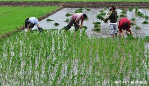 蚂蚁|调查发现:长寿的人都有5个“特点”,如果占2个以上,恭喜