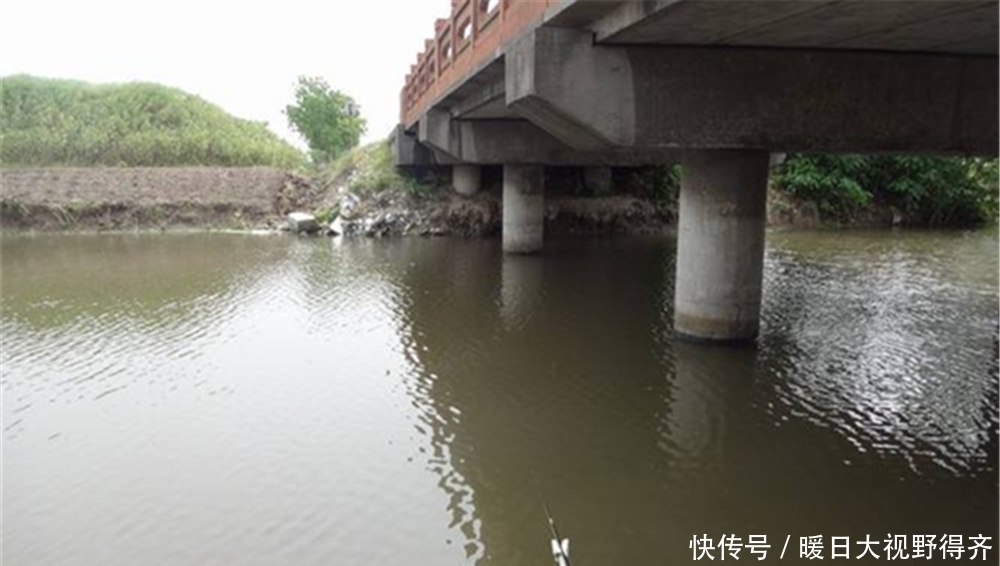 鱼窝|夏季野钓，钓位选择的4个类型，出大鱼的好钓位，基本都在这里！