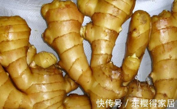 发霉蛋|立刻停止吃以下4种食物,用沸水都不管用,家里有的扔掉