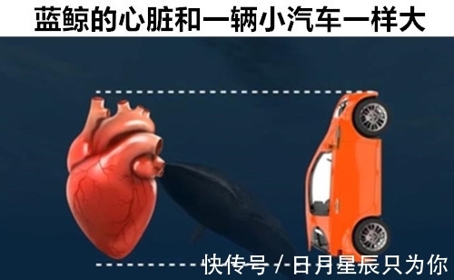 12个即便“满腹经纶”的学霸，也可能不知道的罕见冷知识