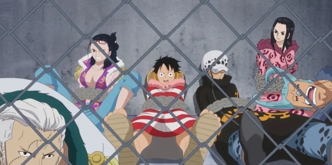 和之国|海贼王,路飞已经获得5种“王”字称号,坐牢王实至名归