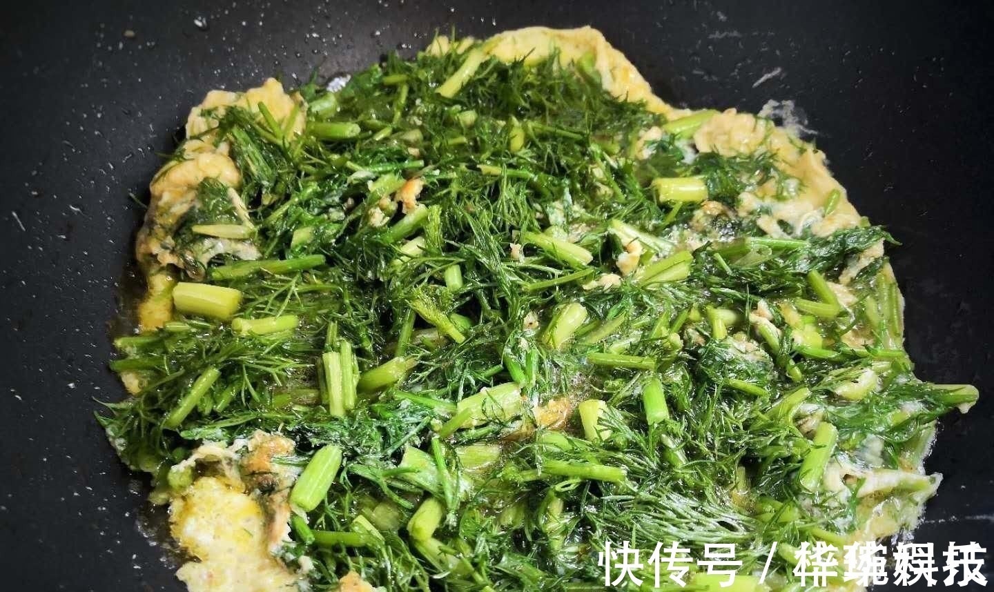 茴香|藏在身边的“养胃药”,是药也是菜,每天吃点,肠胃越来越健康