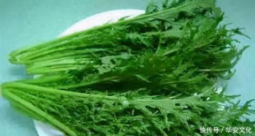 排毒|聪明的女性多吃三种食物,排毒消脂,补血养颜,更显年轻!