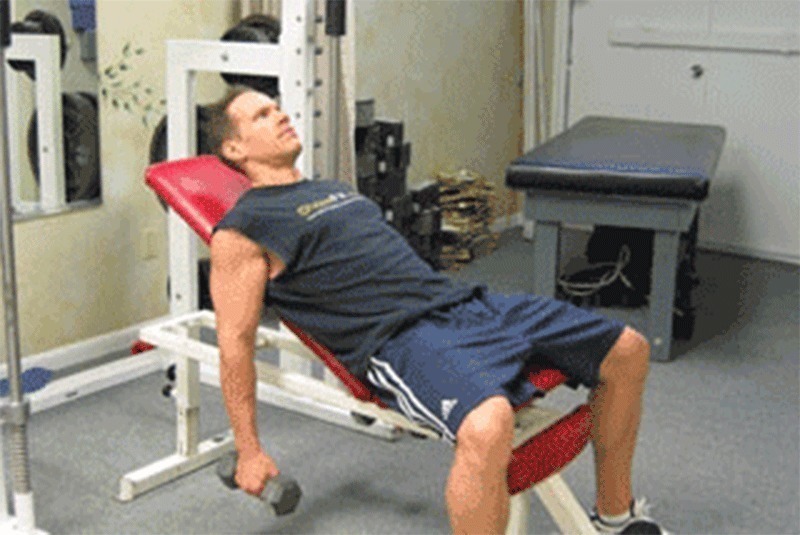 弯举|怎样才能练出更大的肱二头肌学会这几点,你会有强健的臂膀