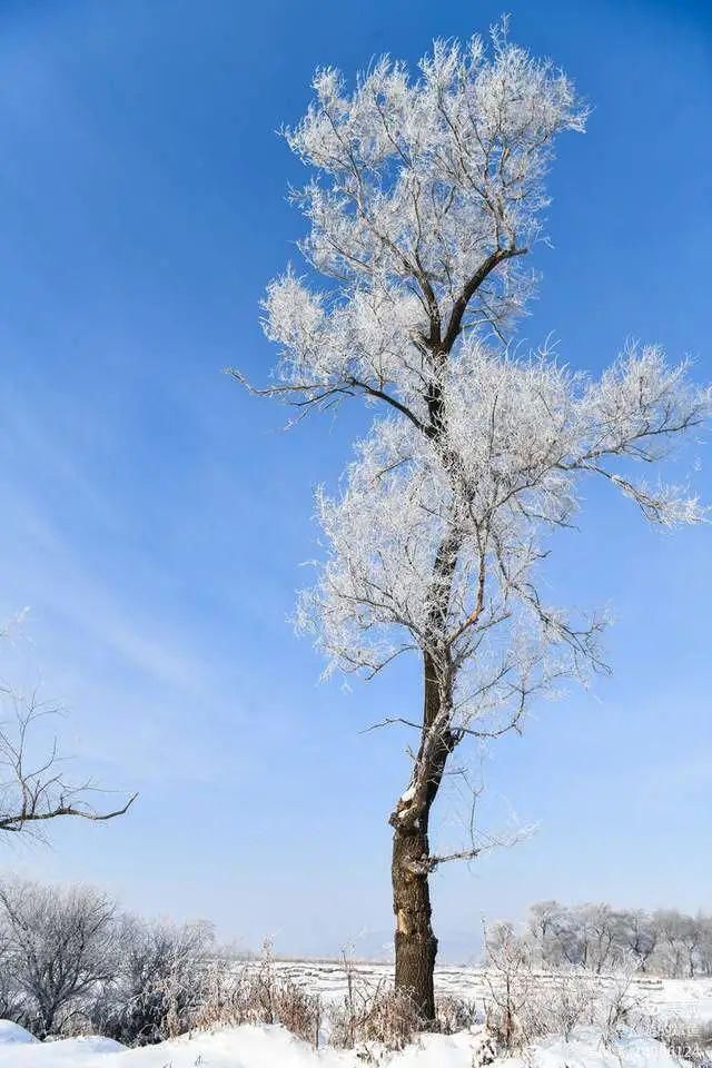 童话|冰天雪地，童话吉林