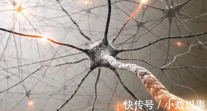 动脉硬化|脑中风每6秒夺走一条生命！请花3分钟为父母学会如何预防！