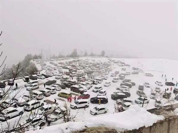 暴雪|突降暴雪！景区2000名游客滞留！