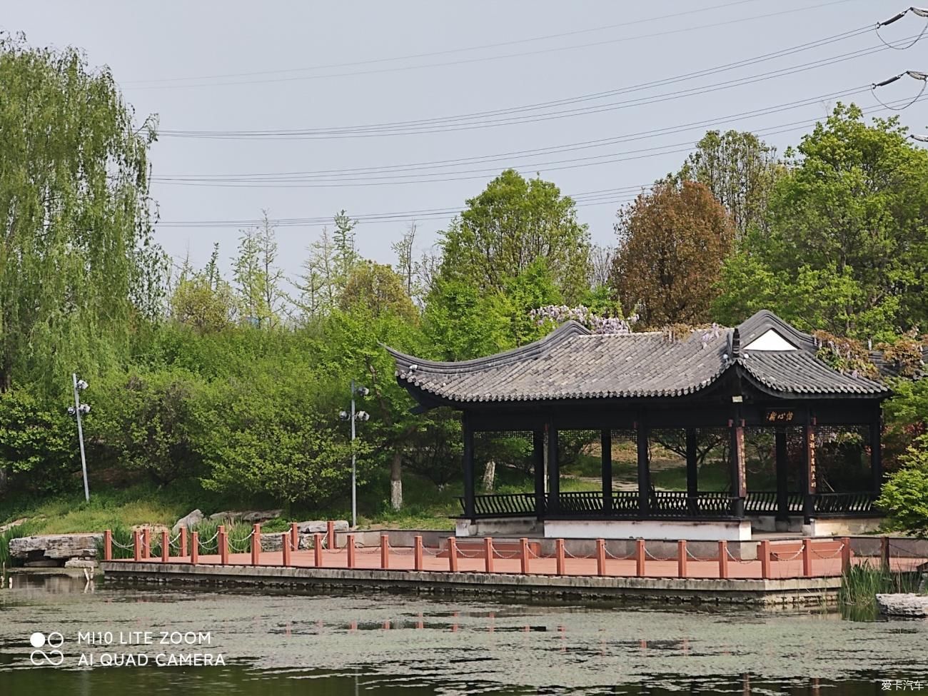 春季游览印象黄河景区