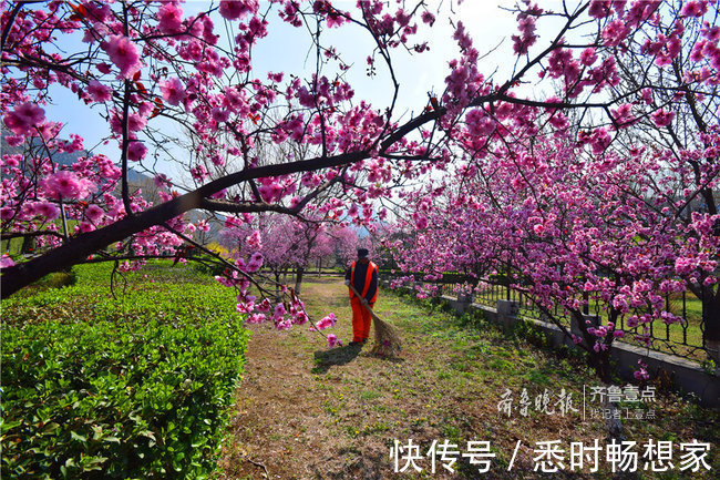 芳华|拥抱今天，不负芳华！你，就是这春光中最好的风景