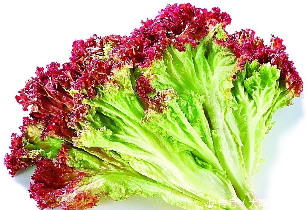 抗病毒蛋白|生菜加一调料吃，补脑，降三高，清热，护牙齿，巧防妇科病！