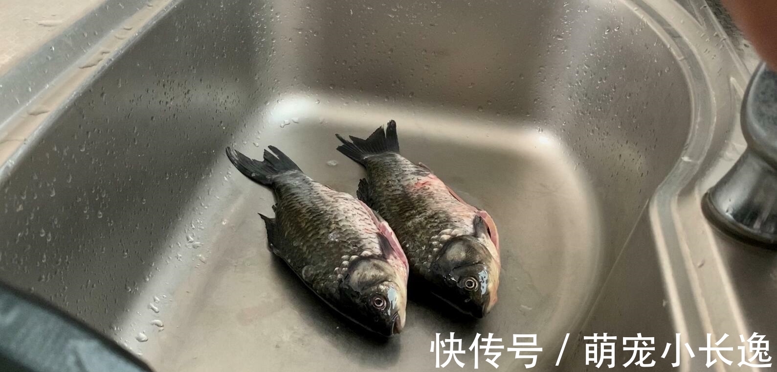 不管解冻什么鱼，直接用水泡就错了，教你2招，鱼解冻快还新鲜
