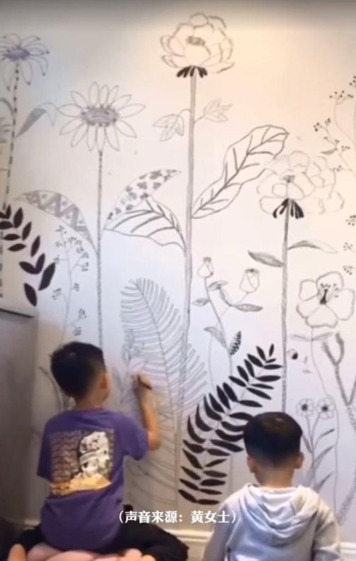 家长|宝妈“纵容”儿子在墙上涂鸦,结果超惊艳!网友:别人家的妈妈