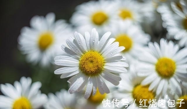 旧爱|思念不减,良缘天赐,真爱降临,不再犹豫,与旧爱重温从前