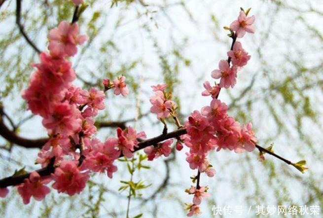 发明|希特勒的发明