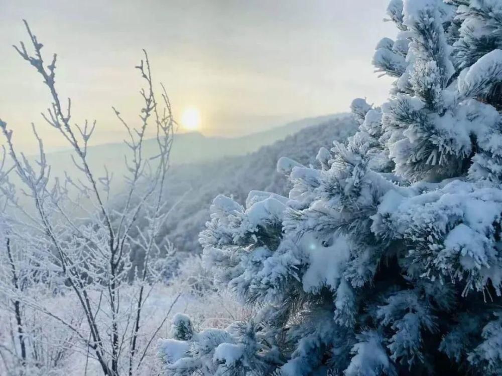 亮相|嵩山雪景亮相央视！