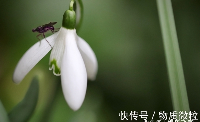 旧爱|六天后，不舍旧爱，尘埃落定，主动求和，运势如龙，永不分离