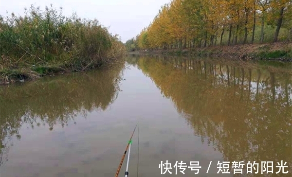 冬季钓鲫鱼,天气不同鱼群位置不同,根据天气找鱼窝,渔获有保证