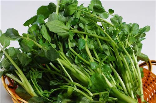 冬天来了，坚持多吃3种食物，排毒养颜，延缓衰老，早吃早好！