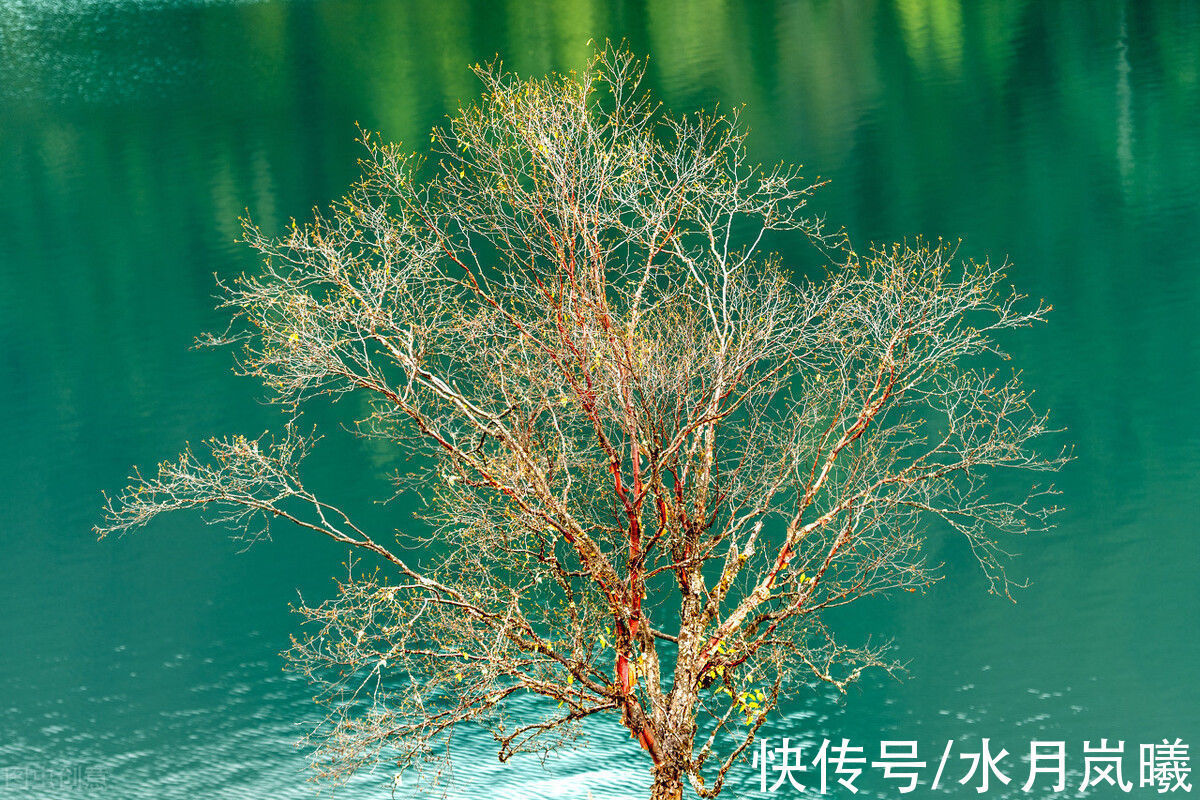 流年!次第回眸,秋雨惊心,愿岁月化为沧海,愿你我归于初见