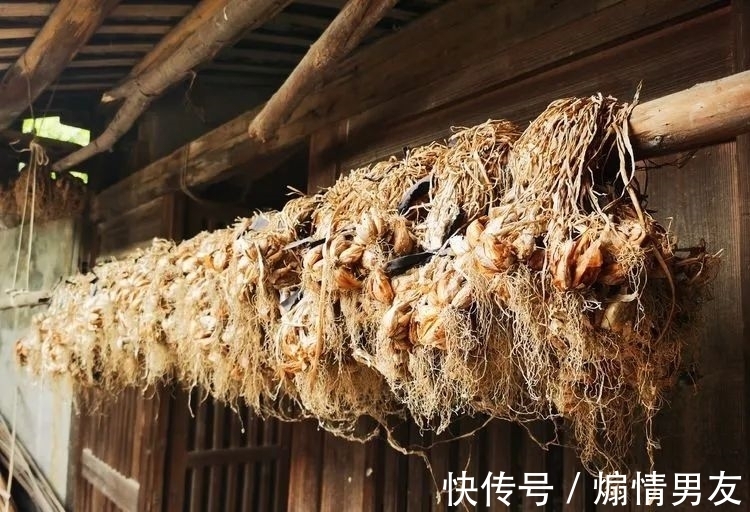 石狗@到南安!到九溪!到那“石狗蛋”的山中世界!