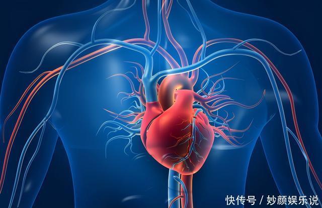 腿上肌肉跳动感觉明显