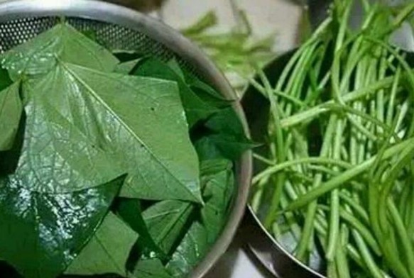 柿子|每天坚持吃口它,半个月排空体内毒素,人年轻了,肚子也平了!