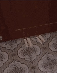 |搞笑GIF:看这熟练的程度 她们肯定不是第一次了