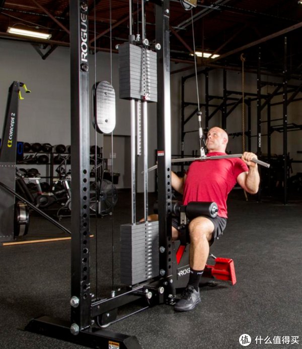 飞鸟|秋季健身滑轮系统飞鸟高低拉浅谈篇一