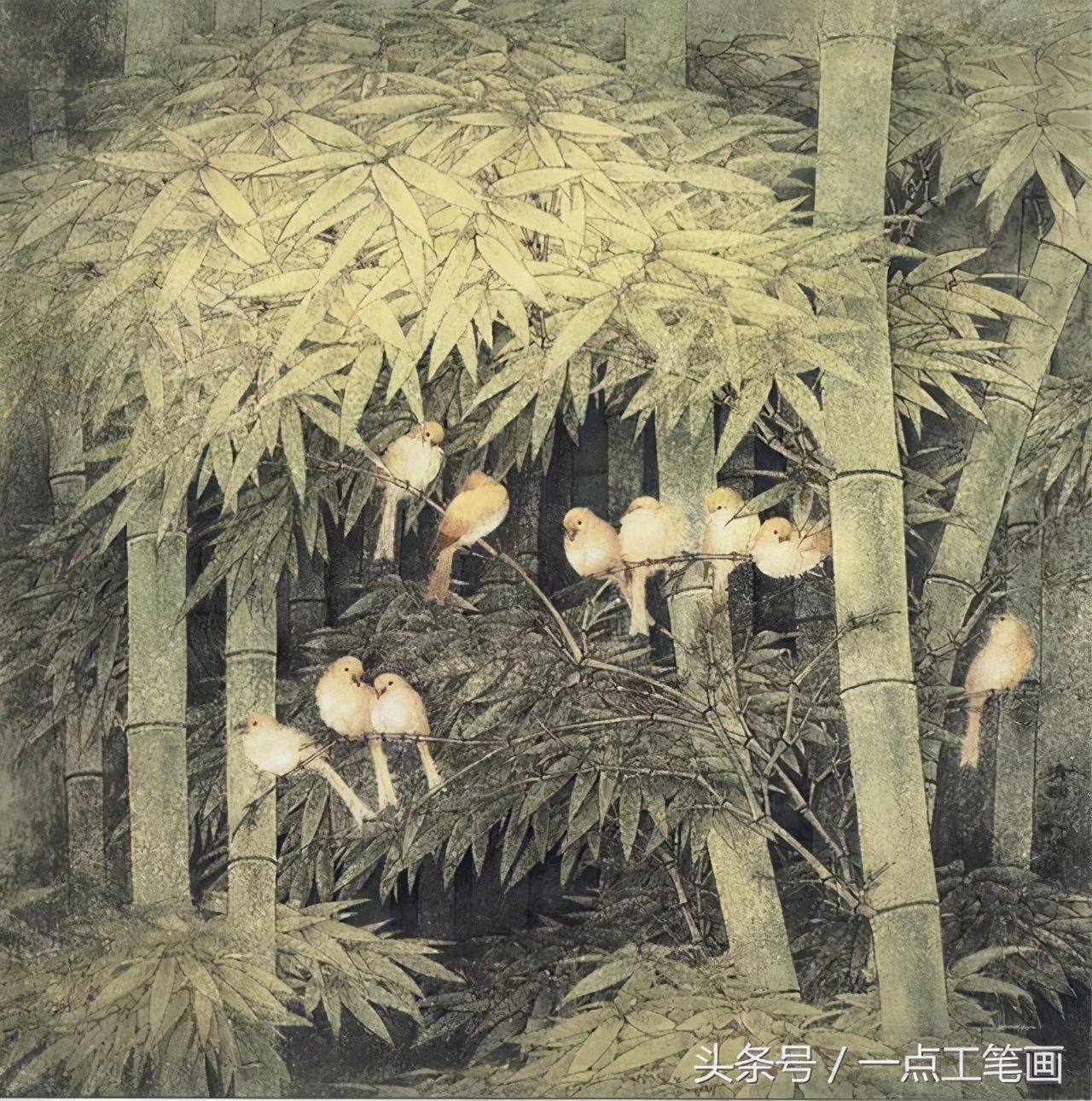 转载：如何画竹子，技法，步骤（学习，欣赏，收藏）