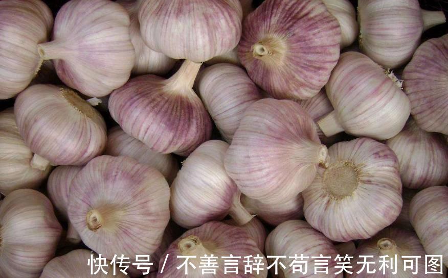 原来保存大蒜这么简单,教您一招,1年不干瘪发芽,不怕蒜涨价了