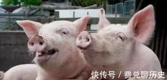 视野|这些日常冷知识,近视眼的人这样做,视野就能马上变清晰!