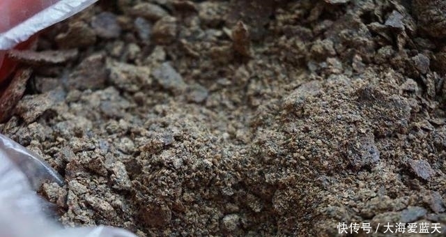 这东西专攻鲫鱼鲤鱼,开春钓鱼记得加一点,让你渔获轻松翻倍