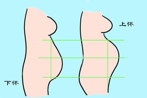 因素|怀孕周期一样，准妈妈的肚子为什么大小不一？主要看以下三个因素